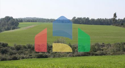 Продажа - Земельный участок 32000 m² на Кассандре (Халкидики)