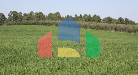 Продажа - Земельный участок 32000 m² на Кассандре (Халкидики)