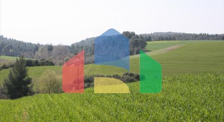 Продажа - Земельный участок 32000 m² на Кассандре (Халкидики)