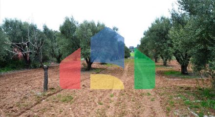 For Sale - Land 3068 m² in Kassandra, Chalkidiki