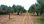 For Sale - Land 3068 m² in Kassandra, Chalkidiki
