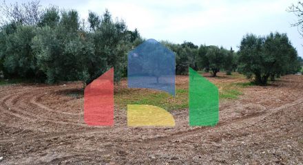 For Sale - Land 3068 m² in Kassandra, Chalkidiki