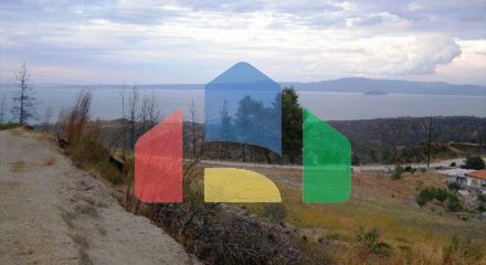 Продажа - Земельный участок 15000 m² на Кассандре (Халкидики)