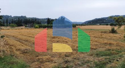 Продажа - Земельный участок 5000 m² на Кассандре (Халкидики)