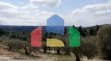 For Sale - Land 10000 m² in Kassandra, Chalkidiki