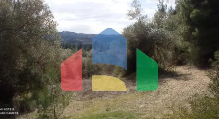For Sale - Land 10000 m² in Kassandra, Chalkidiki