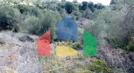 For Sale - Land 10000 m² in Kassandra, Chalkidiki