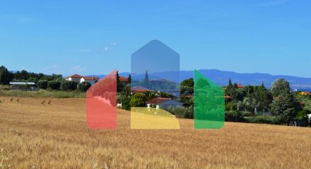 Продажа - Земельный участок 6000 m² на Кассандре (Халкидики)