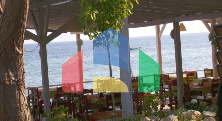 For Sale - Business 765 m² in Kassandra, Chalkidiki