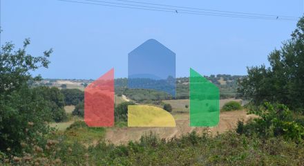 Продаж - Земельна ділянка 10500 m² на Кассандрі (Халкідіки)