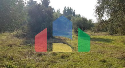 Продаж - Земельна ділянка 8000 m² на Кассандрі (Халкідіки)