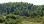 For Sale - Land 4200 m² in Kassandra, Chalkidiki