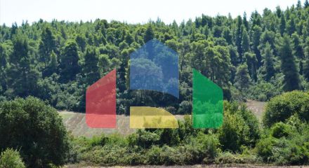 For Sale - Land 4200 m² in Kassandra, Chalkidiki