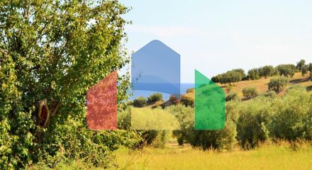 For Sale - Land 4013 m² in Kassandra, Chalkidiki