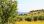 For Sale - Land 4013 m² in Kassandra, Chalkidiki