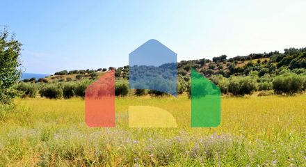 For Sale - Land 4013 m² in Kassandra, Chalkidiki