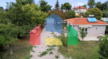 Продаж - Готель 310 m² на Кассандрі (Халкідіки)