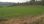 Продажа - Земельный участок 8000 m² на Кассандре (Халкидики)