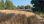 For Sale - Land 6753 m² in Kassandra, Chalkidiki