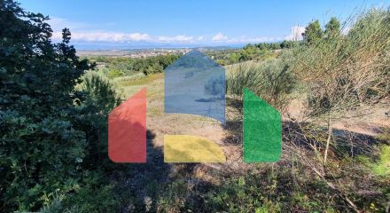 For Sale - Land 6800 m² in Kassandra, Chalkidiki