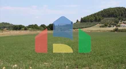 Продажа - Земельный участок 8000 m² на Кассандре (Халкидики)