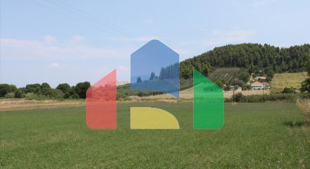 Продажа - Земельный участок 8000 m² на Кассандре (Халкидики)