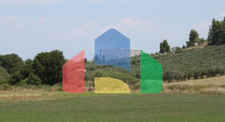Продажа - Земельный участок 8000 m² на Кассандре (Халкидики)