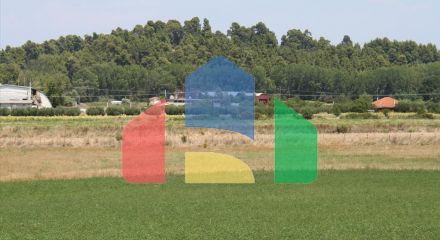 Продажа - Земельный участок 8000 m² на Кассандре (Халкидики)