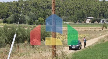Продажа - Земельный участок 8000 m² на Кассандре (Халкидики)