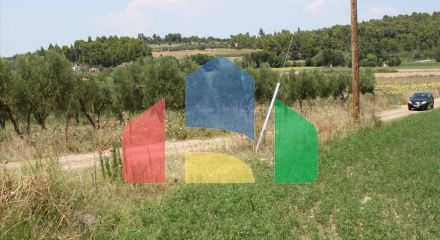 Продажа - Земельный участок 8000 m² на Кассандре (Халкидики)