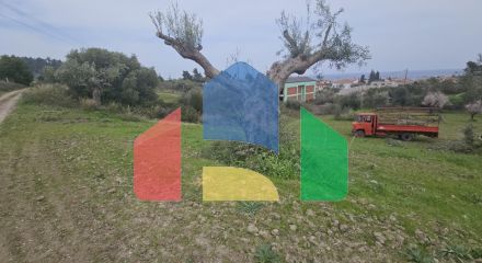 For Sale - Land 1666 m² in Kassandra, Chalkidiki