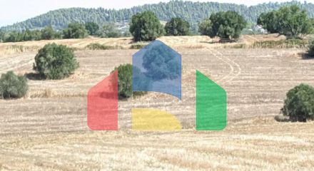 For Sale - Land 4000 m² in Kassandra, Chalkidiki