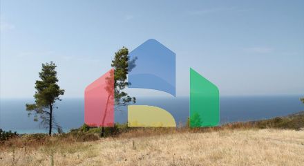 Продаж - Земельна ділянка 51000 m² на Кассандрі (Халкідіки)