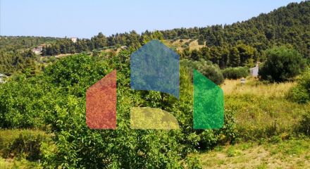 For Sale - Land 834 m² in Kassandra, Chalkidiki