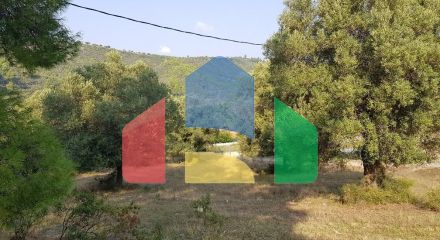For Sale - Land 4900 m² in Kassandra, Chalkidiki