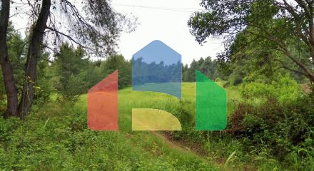 Продажа - Земельный участок 28000 m² на Кассандре (Халкидики)