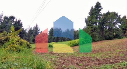 Продажа - Земельный участок 28000 m² на Кассандре (Халкидики)