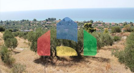 For Sale - Land 4000 m² in Kassandra, Chalkidiki