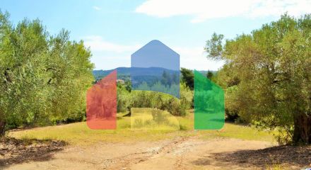 For Sale - Land 10000 m² in Kassandra, Chalkidiki