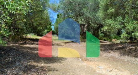 For Sale - Land 10000 m² in Kassandra, Chalkidiki