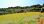 For Sale - Land 4000 m² in Kassandra, Chalkidiki