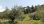 For Sale - Land 20171 m² in Kassandra, Chalkidiki