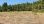 For Sale - Land 4668 m² in Kassandra, Chalkidiki