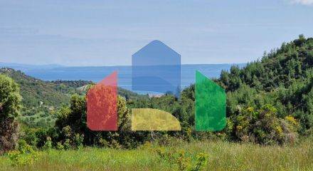 For Sale - Land 10000 m² in Kassandra, Chalkidiki
