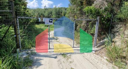 For Sale - Land 10000 m² in Kassandra, Chalkidiki