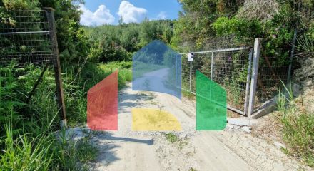 For Sale - Land 10000 m² in Kassandra, Chalkidiki