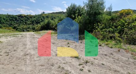 For Sale - Land 10000 m² in Kassandra, Chalkidiki