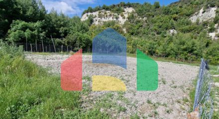 For Sale - Land 10000 m² in Kassandra, Chalkidiki