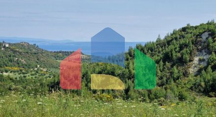 For Sale - Land 10000 m² in Kassandra, Chalkidiki