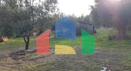 Продаж - Земельна ділянка 4000 m² на Кассандрі (Халкідіки)